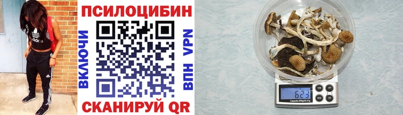 Галлюциногенные грибы мухоморы  MEGA ССЫЛКА  shop состав  Усть-Катав 